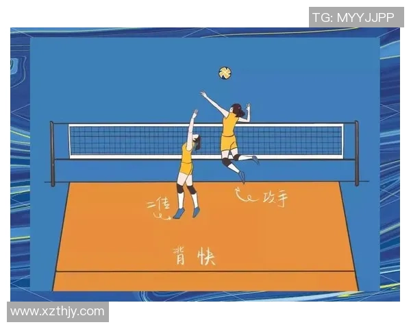 杭州羽毛球队快攻战术解析与深度剖析的全景视角